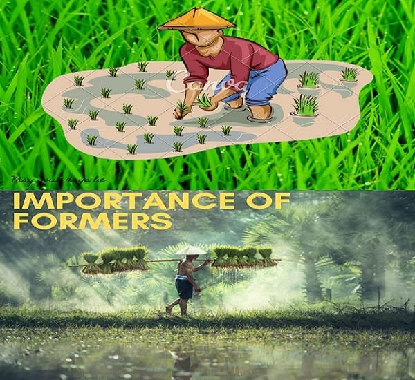 Importance of Farmers: What Issues They Face