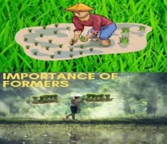 Illustration of a farmer planting seedlings above a photo of a farmer carrying plants. Text reads IMPORTANCE OF "FARMERS"