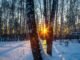 As the sun sets during the Winter Solstice, its light filters through a snowy forest, casting long shadows from bare trees.