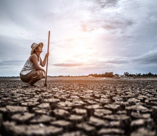A farmer crouches on cracked, dry ground under a cloudy sky, holding a long stick. Dressed in light clothing and a hat, searching for answers in the parched earth and committing suicide.