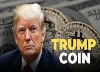 How Did Trump Coin Gain Popularity in the Crypto Market? Portrait of a man with the phrase "Trump Coin" elegantly perched beside him, set against a backdrop of large, gleaming coins prominently featuring the Bitcoin symbol.